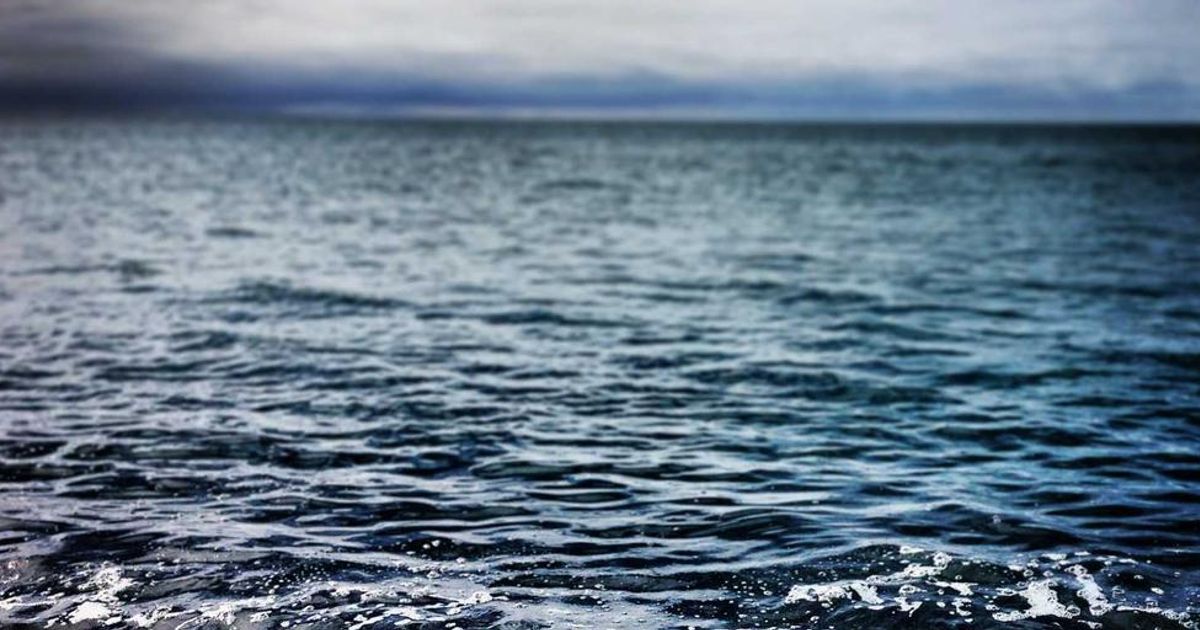 Spartan Arena Opens Jan 1, 2026 for No-Code Trading Bot Contest