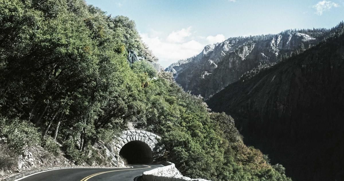 Ingevity's Q4 Reveals Deeper Challenges Amid Chemical Sector Headwinds