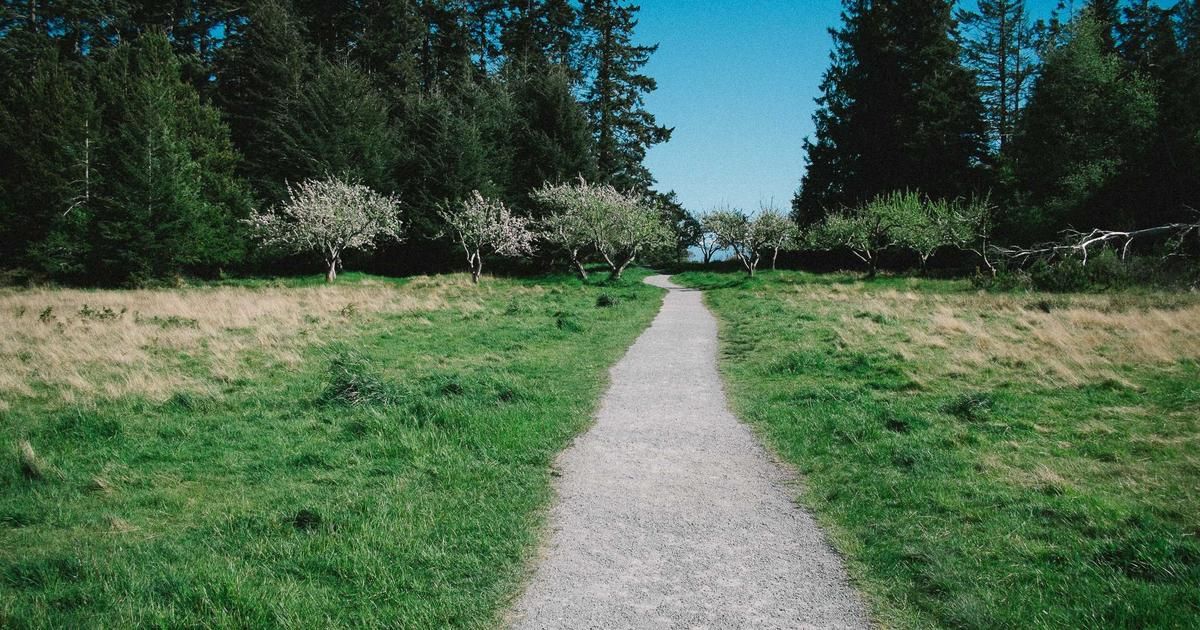 Nvidia's Earnings Spark Market Sell-Off: What's Next for Tech Stocks?