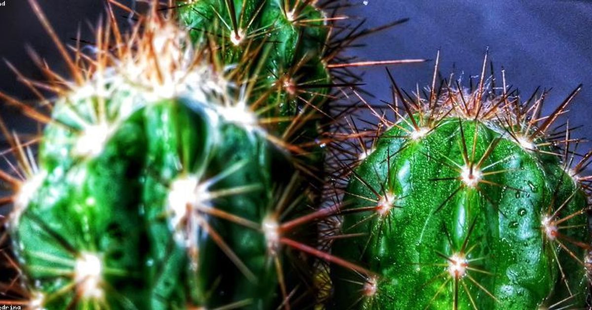 Hottest Tech Stocks for 2026: AI Predictions from ChatGPT & Gemini