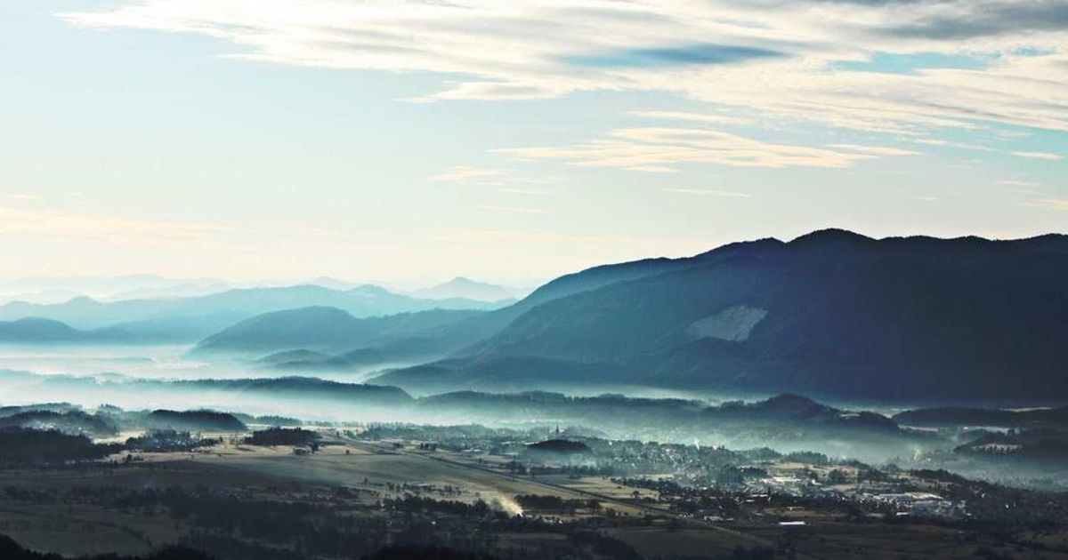 1 AI Stock to Lead the Next Bull Market: Trader Analysis 2024