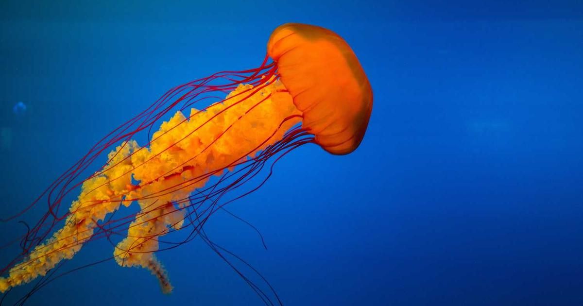 U.S. Venezuela Policy Shift Adds Fuel to Oil & Bond Markets