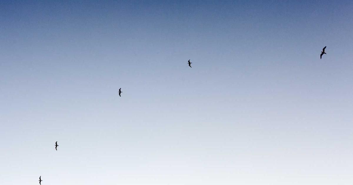 Amazing AI to Delist from AQSE in January 2024: Trader Analysis