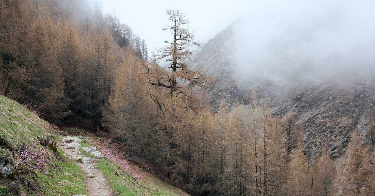 Strategy's 2025 Bitcoin Buy Caps Year of Major BTC Accumulation