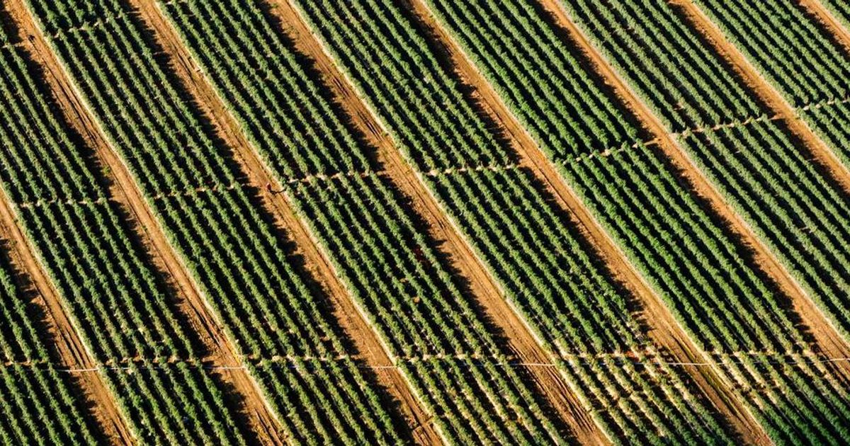 El Salvador to Pakistan: How Governments Reshaped Crypto in 2025