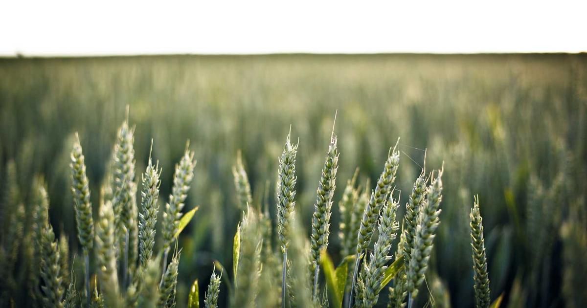 2025's Fallen Stocks: Analysts See Up to 65% Upside