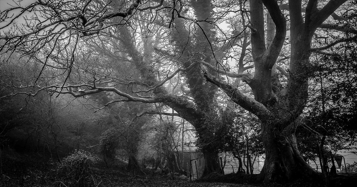 Waters Challenges Kraken's Fed Access, Raising Stakes for Crypto Banking