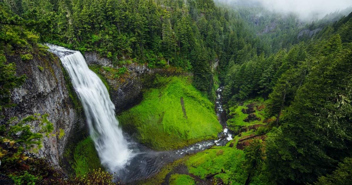 Dogecoin Pops 4% Amid Memecoin Rally: Golden Cross Flashes