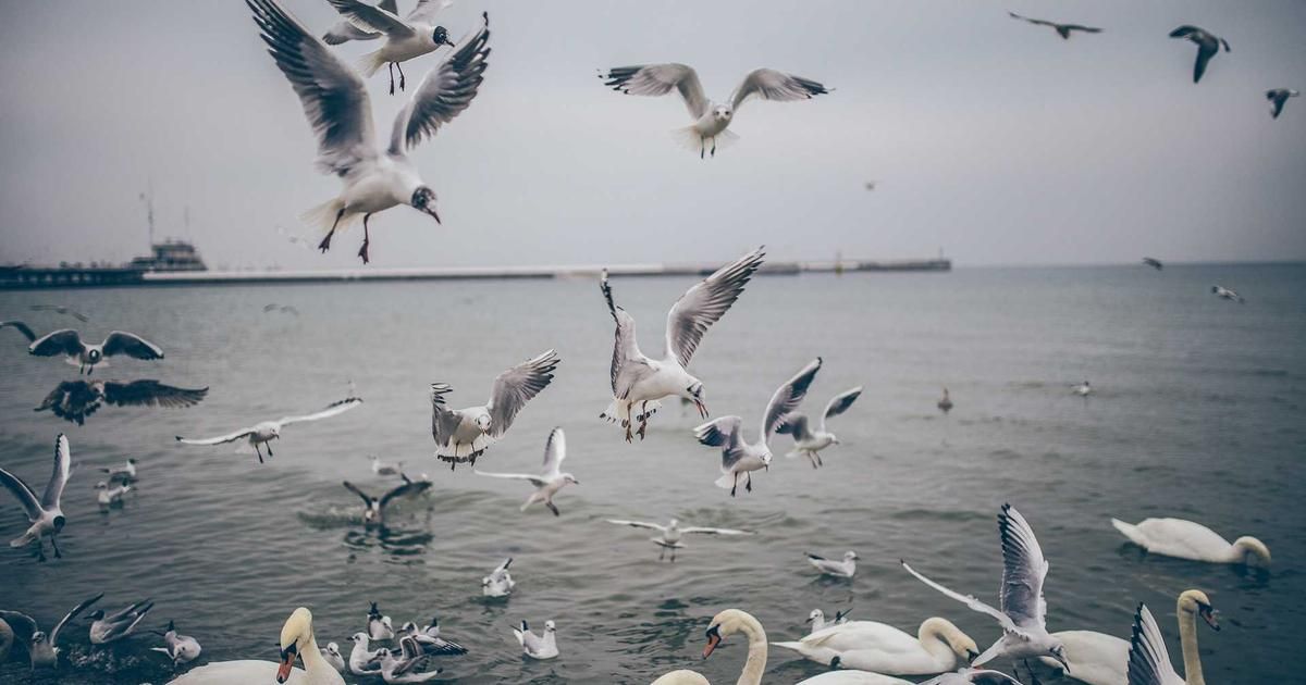 Bitcoin Miners Face $19,000 Loss Per Coin as Network Difficulty Plummets