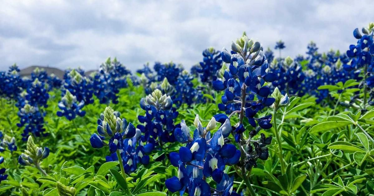 Bitcoin Eyes $92K, Monero Hits ATH: 2024 Market Watch