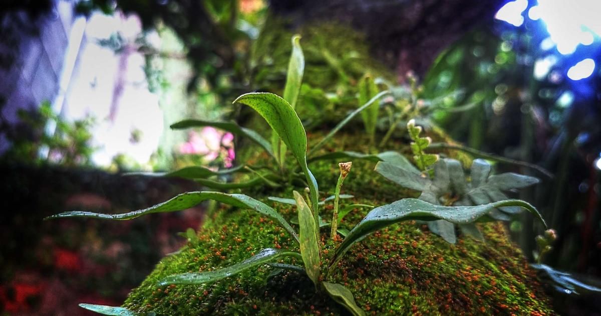 Fed's Hammack Warns of Tighter Policy Amid Oil Shock, Rattling Markets