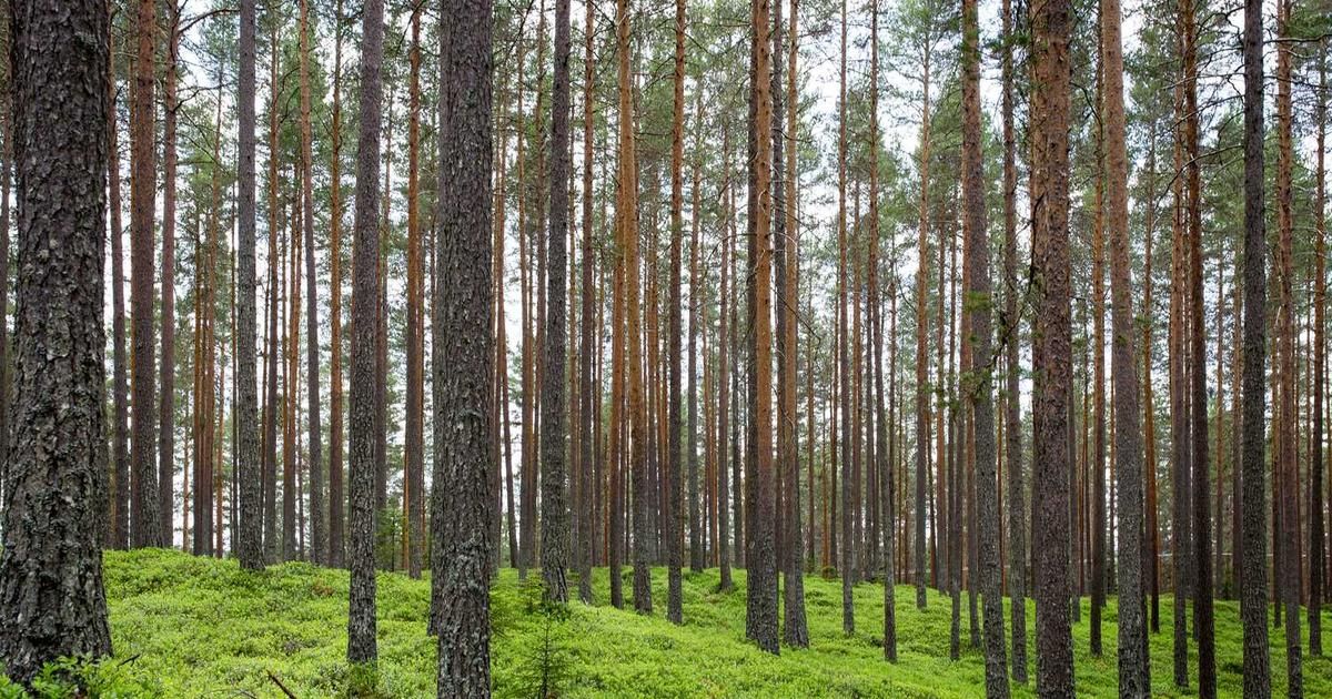 Crypto Forces to Compound in 2026, Accelerating Adoption: Coinbase