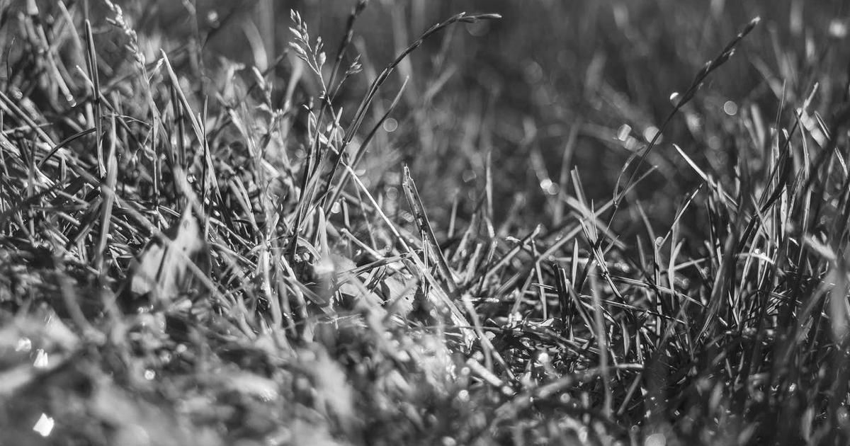 Oil Prices Dip After US Actions in Venezuela: 2024 Market Analysis