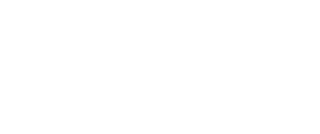 Natus Vincere logo