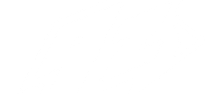 9z logo