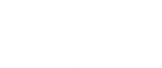 Furia logo