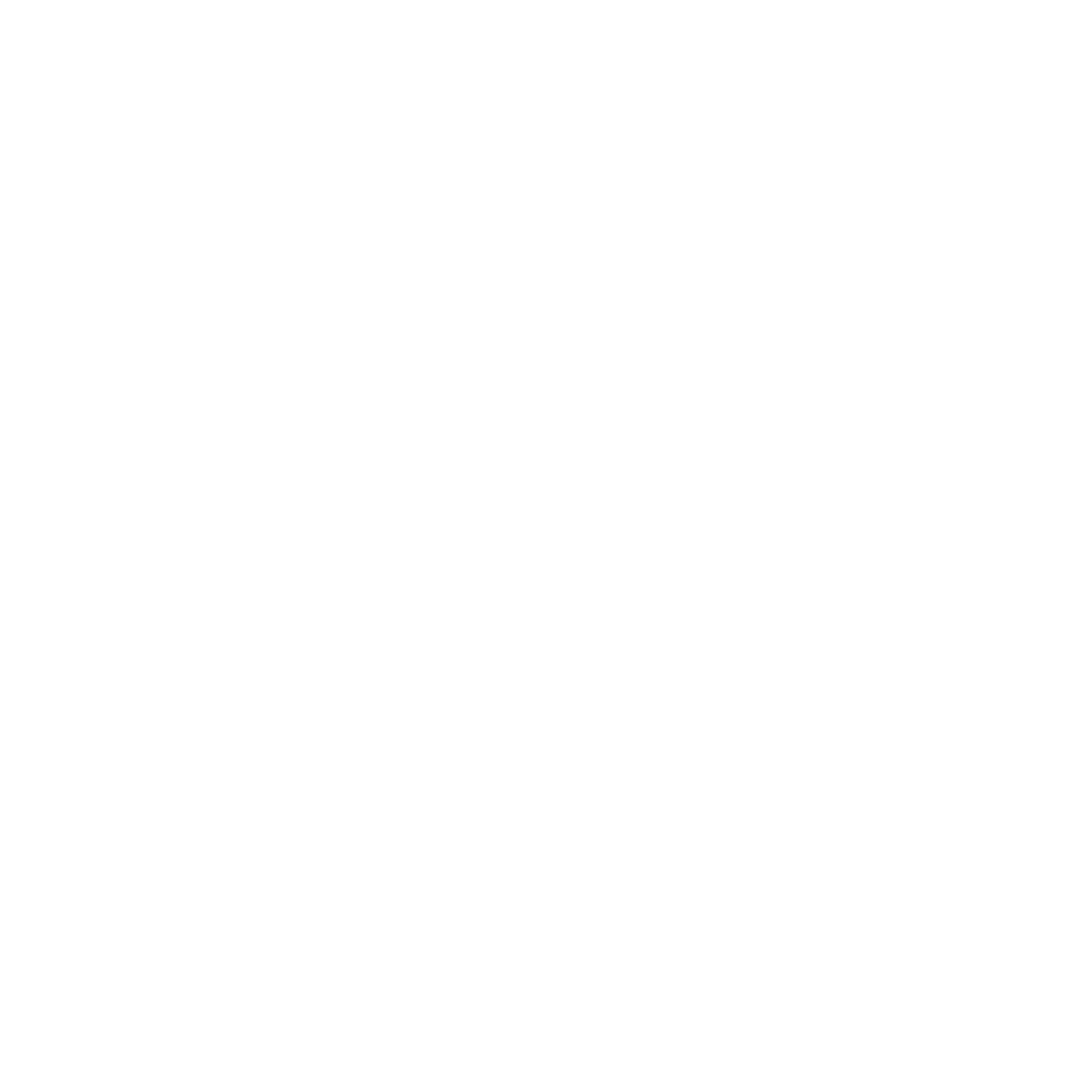 Team Nemisis logo