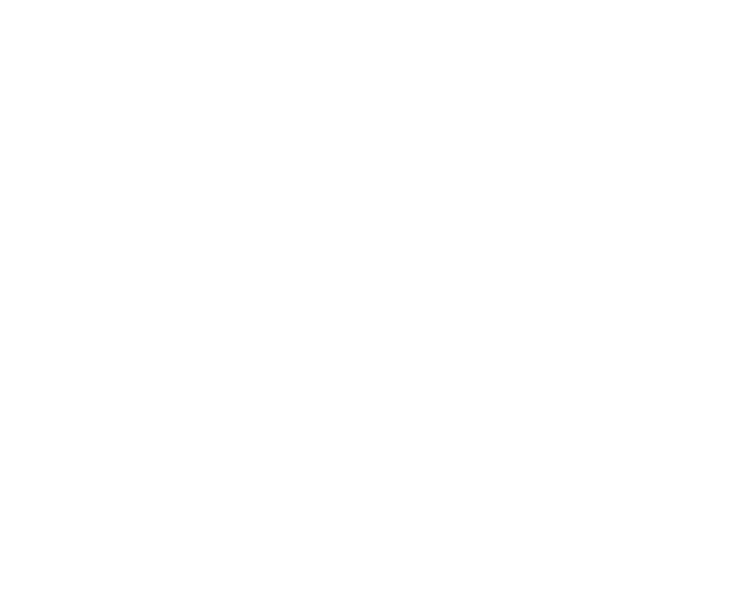 100 Thieves logo
