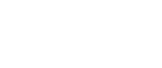 Falcons logo
