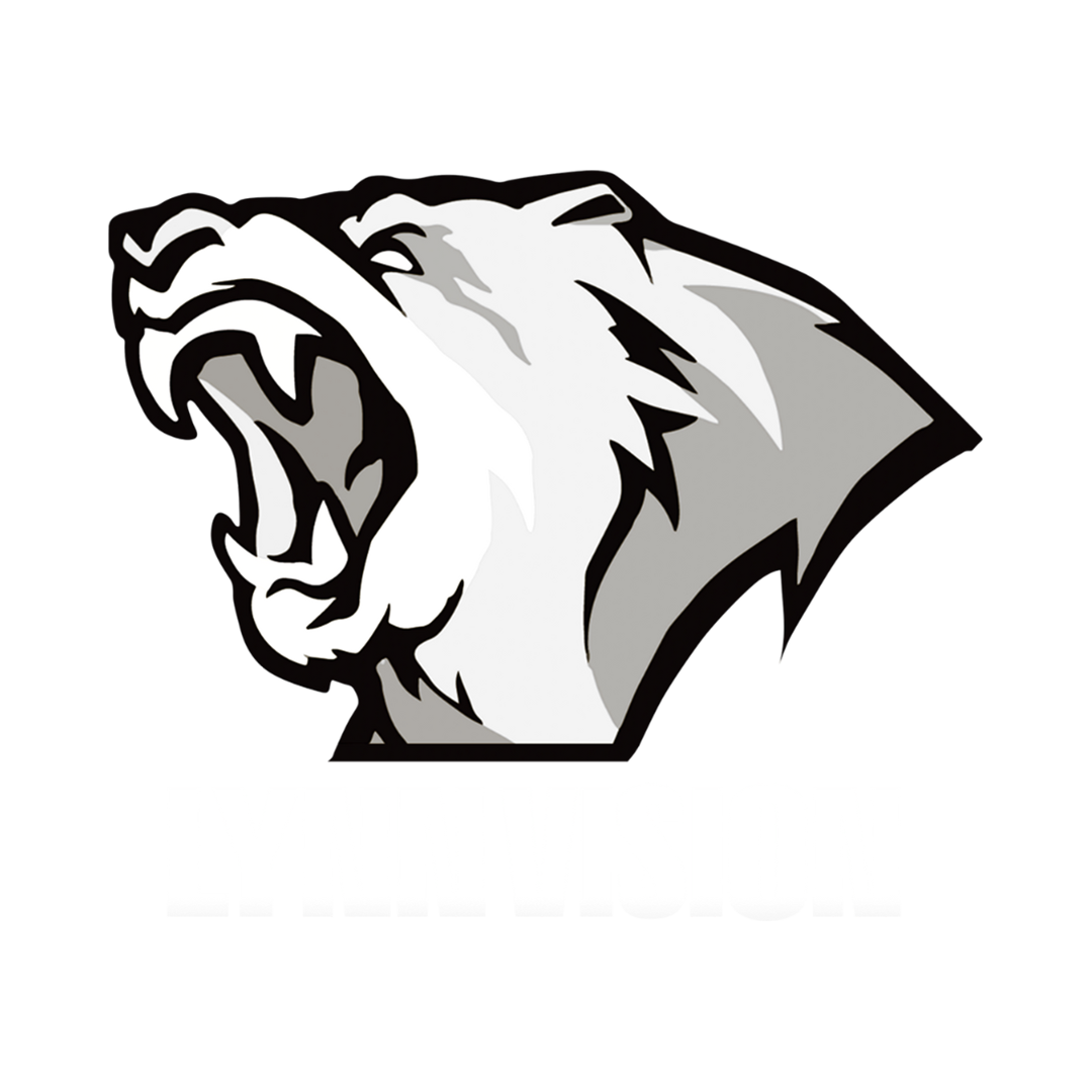 Lynn Vision logo