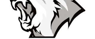 Lynn Vision logo