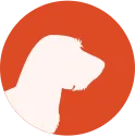 Gos