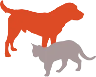 perro y gato
