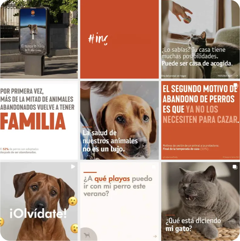 Galeria de Instagram