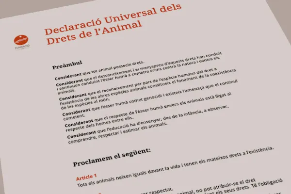 Texto alt Texto alt