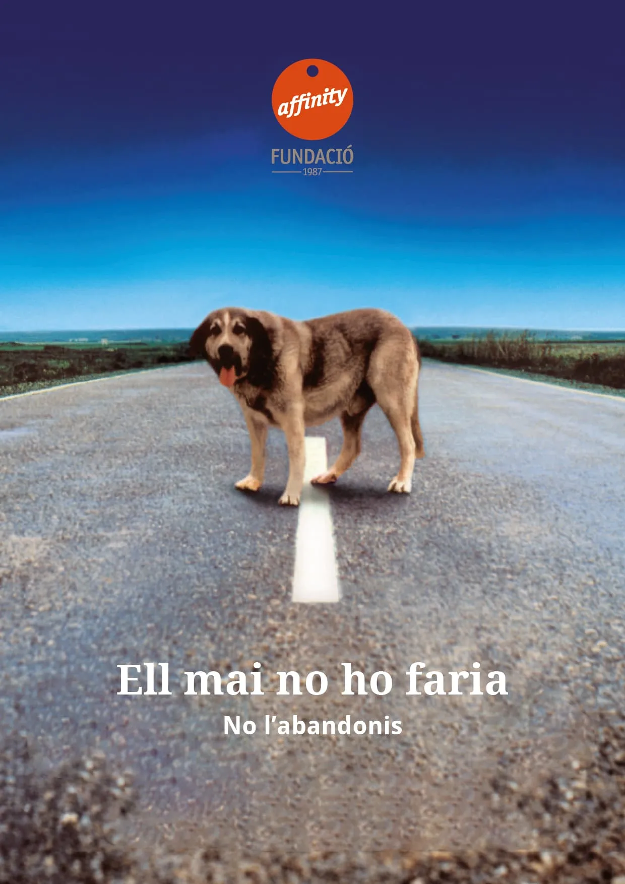 Poster campaña "Él nunca lo haría" Poster campaña "Él nunca lo haría"