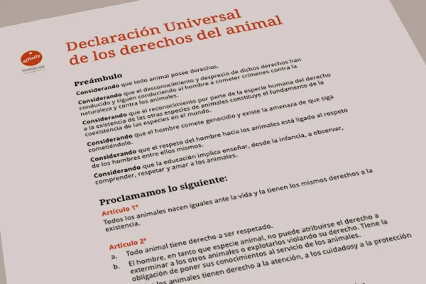 Texto alt Texto alt
