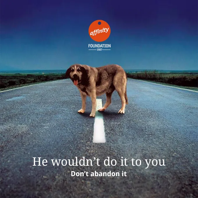 Campaign poster showing an abandoned dog on a dark road