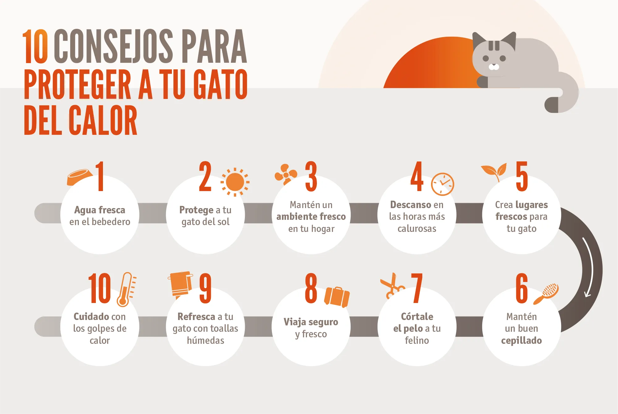 Texto alt Texto alt