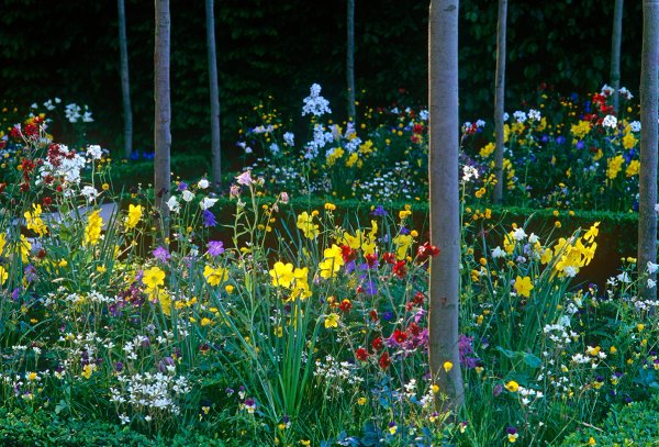 Stuart Medhurst Rhs RHS Chelsea 2000 | Tom Stuart-Smith Studio
