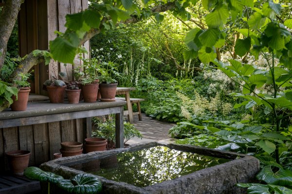 Stuart Medhurst Rhs RHS Chelsea 2024 | Tom Stuart-Smith Studio