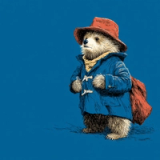 Paddington Option D