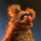 Fozzie Bear Option G