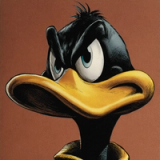 Daffy Duck Option D