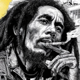 Bob Marley Option D