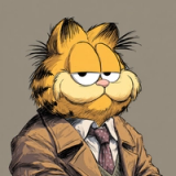 Garfield Option D