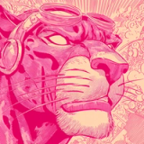 The Pink Panther Option D