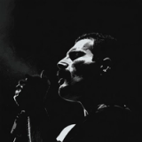 Freddie Mercury Option C