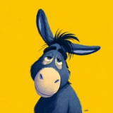 Eeyore Option E