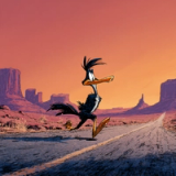The Roadrunner Option C