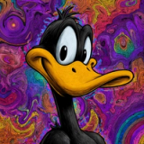 Daffy Duck Option I