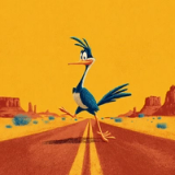 The Roadrunner Option B