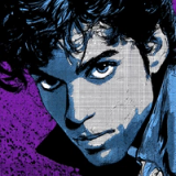 Prince Option D