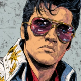 Elvis Option D