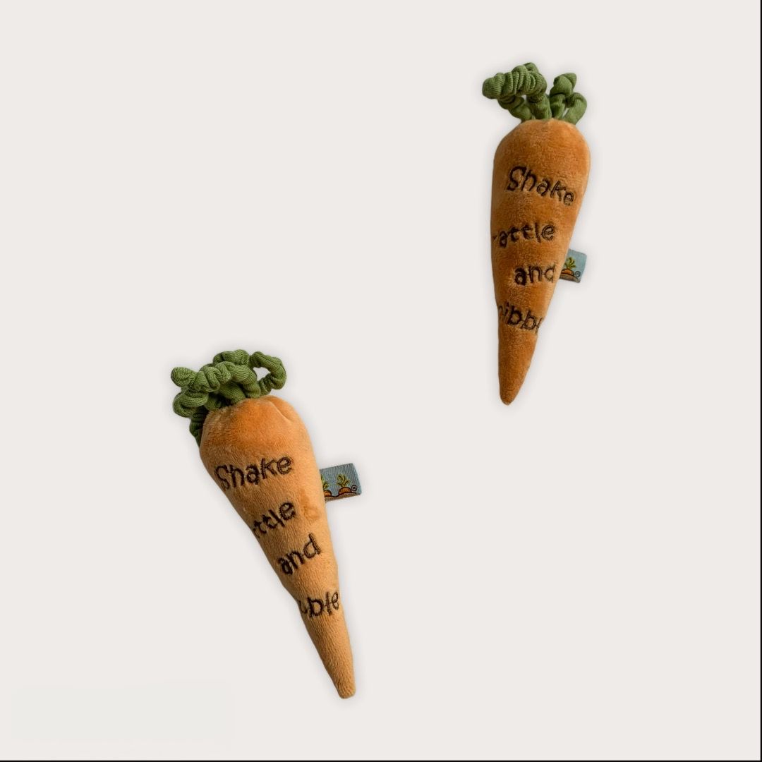 Carrot Rattle