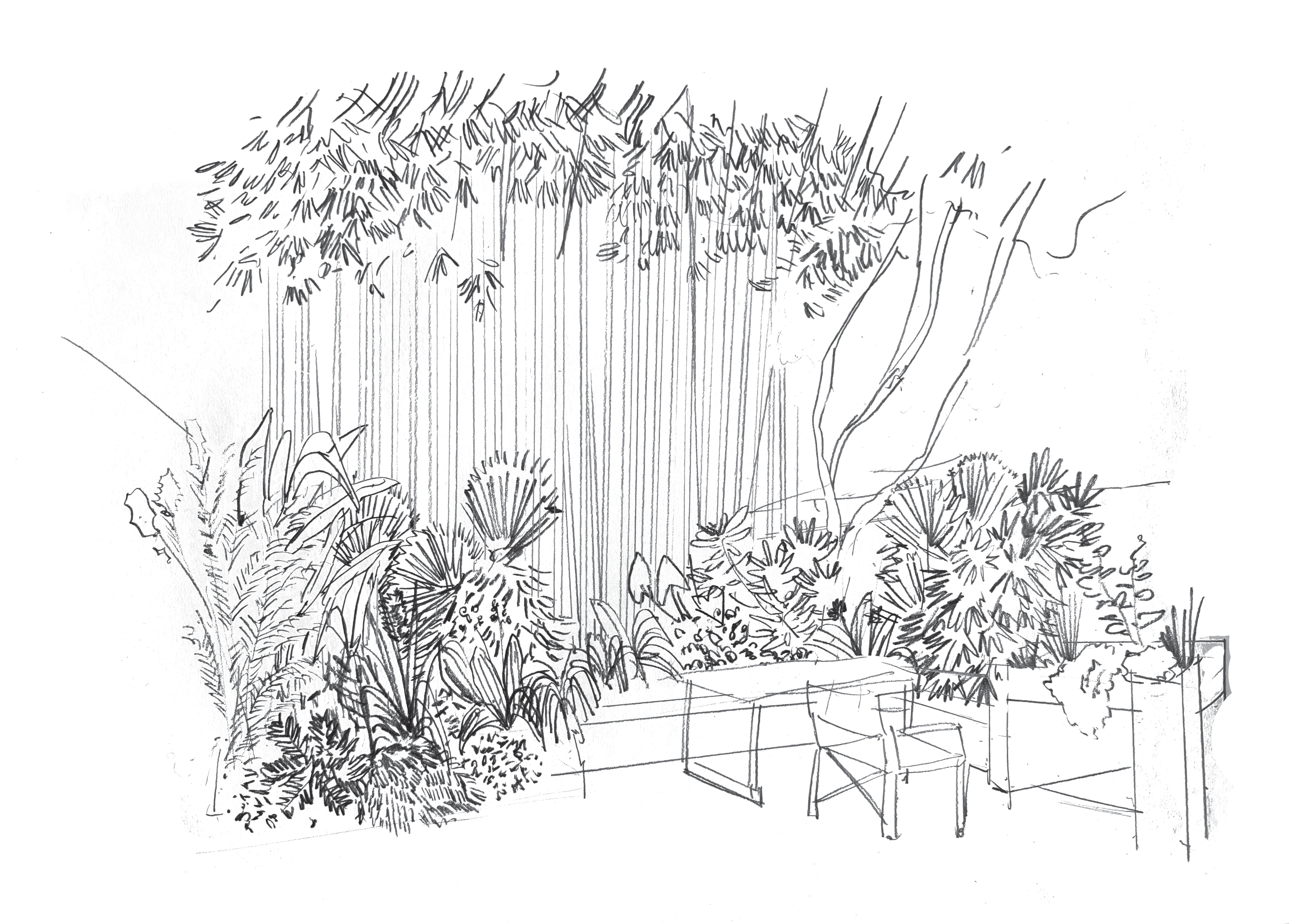 BAMBOO-LAND